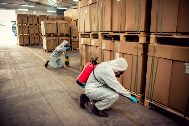 Best Affordable Pest Control Services  in Jemison, AL
