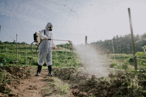 Best Ant Control Services  in Jemison, AL
