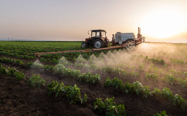 Best Mosquito Control Services  in Jemison, AL